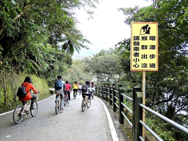 花蓮:【慢活舒心之旅】花蓮後山非玩不可の輕旅行