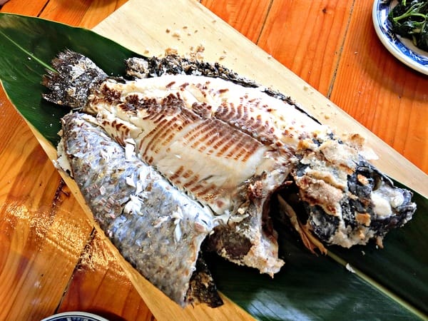 花蓮:【慢活舒心之旅】花蓮後山非玩不可の輕旅行