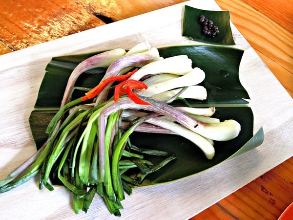 花蓮:【慢活舒心之旅】花蓮後山非玩不可の輕旅行