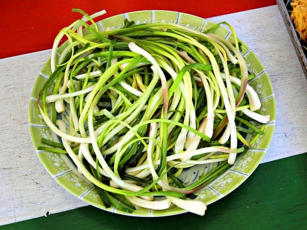 花蓮:【慢活舒心之旅】花蓮後山非玩不可の輕旅行