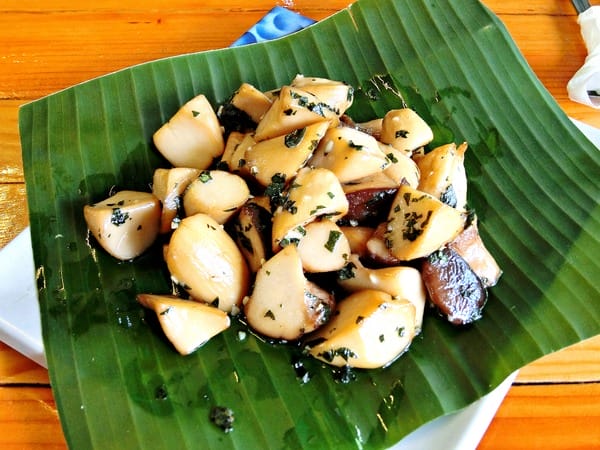 花蓮:【慢活舒心之旅】花蓮後山非玩不可の輕旅行