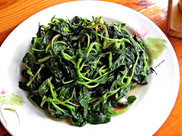 花蓮:【慢活舒心之旅】花蓮後山非玩不可の輕旅行