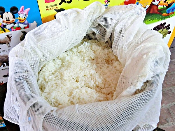 苗栗苑裡:【閤家親子之遊】大手牽小手 X 苑裡小鎮一日遊