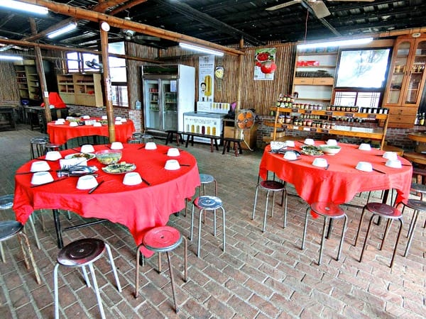 苗栗苑裡:【閤家親子之遊】大手牽小手 X 苑裡小鎮一日遊