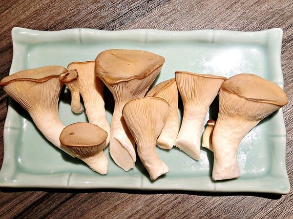 青花驕(台北中山北店):青花驕