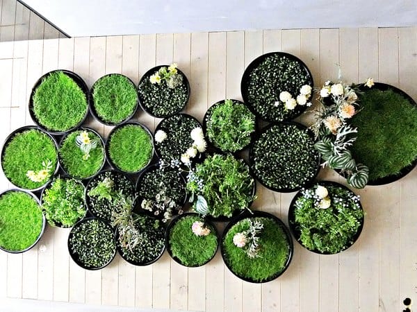 yoh 曜日義式餐酒館:yoh 曜日義式餐酒館