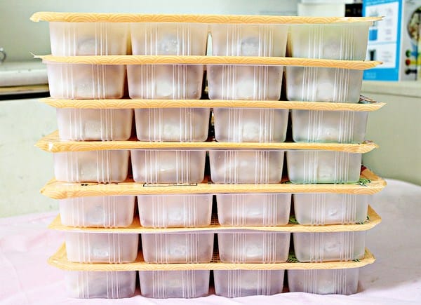 徐姊姊爆料水餃:徐姊姊爆料水餃