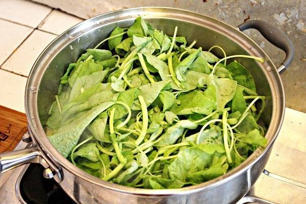 FJ飛捷義大利生活館:【FJ飛捷義大利生活館】新科技快鍋—炒鍋。義大利原裝進口。保用50年的高級快鍋!