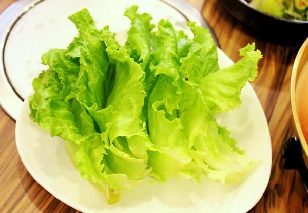 嘉義:【知性文化之旅】就要醬玩嘉義,好玩景點趴趴造