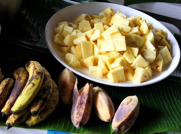 嘉義:【知性文化之旅】就要醬玩嘉義,好玩景點趴趴造