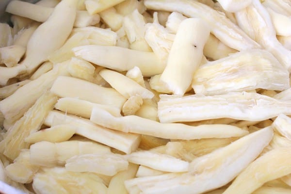 嘉義:【知性文化之旅】就要醬玩嘉義,好玩景點趴趴造