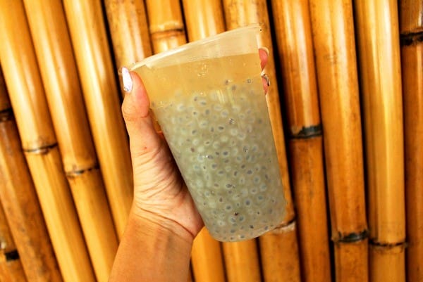 嘉義:【知性文化之旅】就要醬玩嘉義,好玩景點趴趴造