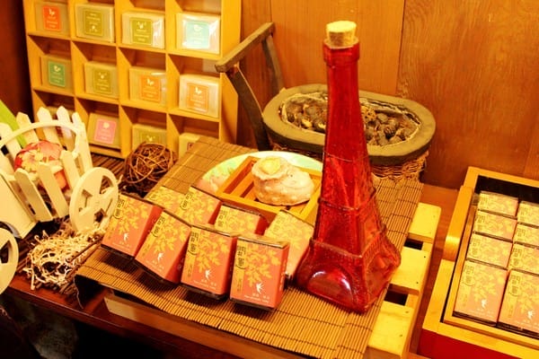 嘉義:【知性文化之旅】就要醬玩嘉義,好玩景點趴趴造