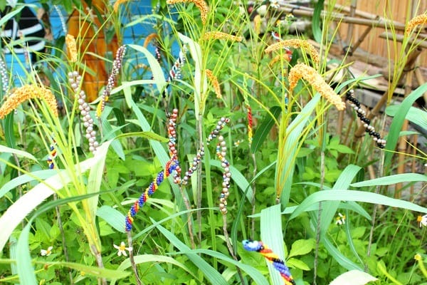 嘉義:【知性文化之旅】就要醬玩嘉義,好玩景點趴趴造