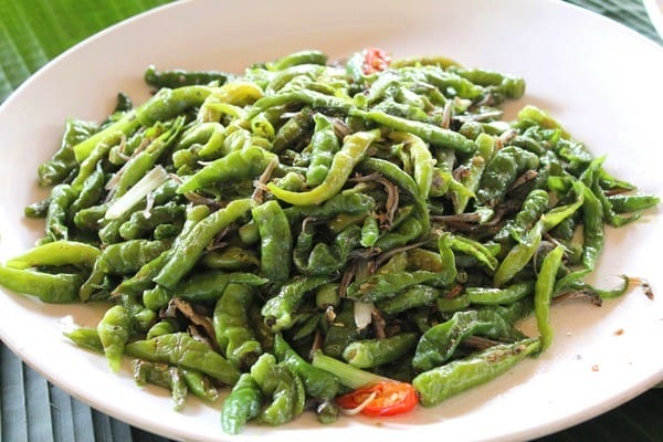 嘉義:【知性文化之旅】就要醬玩嘉義,好玩景點趴趴造