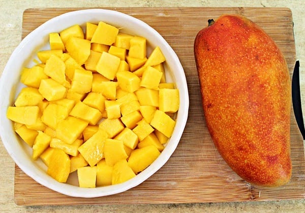 BUGATTI:【BUGATTI】VENTO破壁養生機。多達60段變速。一機搞定廚房料理