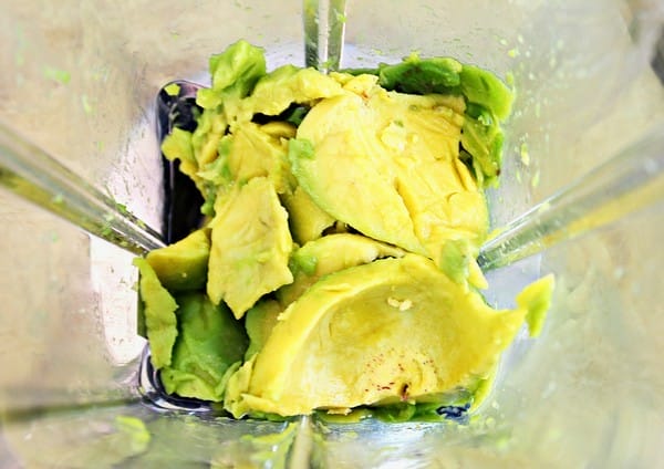 BUGATTI:【BUGATTI】VENTO破壁養生機。多達60段變速。一機搞定廚房料理