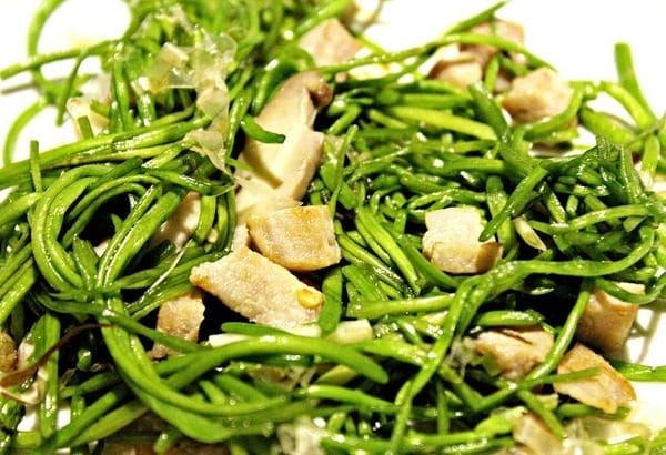 新串New Trend:新串New Trend