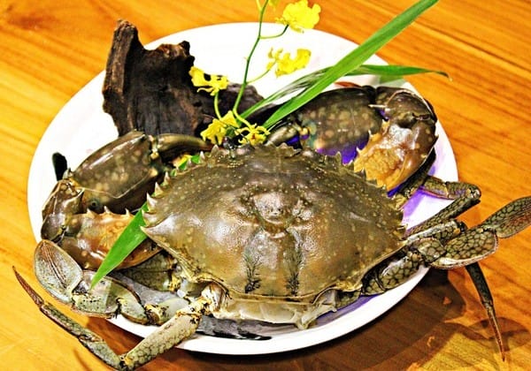 名流水岸民生館:【名流水岸民生館】高級精緻鍋物。招牌萬古燒料理