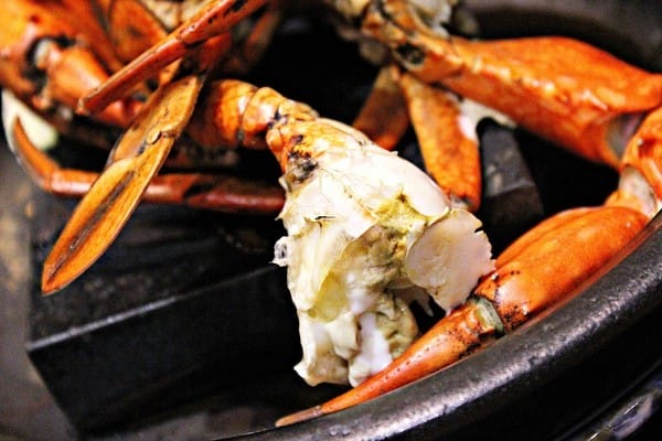 名流水岸民生館:【名流水岸民生館】高級精緻鍋物。招牌萬古燒料理