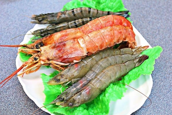 醉食在石頭風味養生火鍋:【醉食在】石頭風味養生火鍋。苗栗竹南火鍋推薦