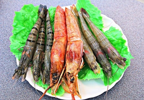 醉食在石頭風味養生火鍋:【醉食在】石頭風味養生火鍋。苗栗竹南火鍋推薦