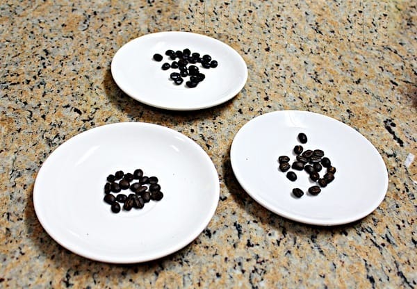 和風民宿&食堂:【和風民宿&食堂】苗栗公館客家美食。烘豆vs手沖咖啡。墨硯山健行