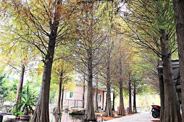 和風民宿&食堂:【和風民宿&食堂】苗栗公館客家美食。烘豆vs手沖咖啡。墨硯山健行