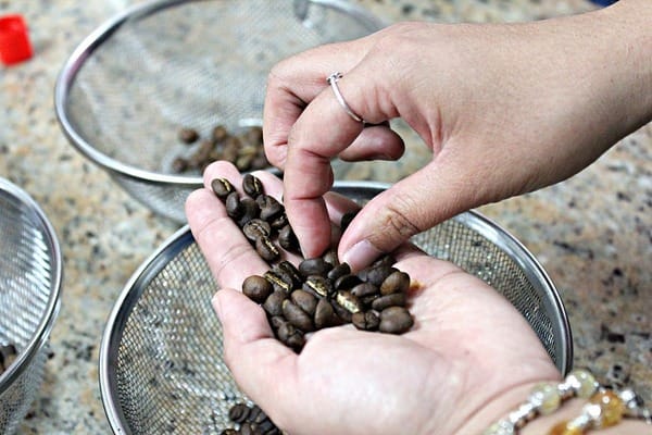 和風民宿&食堂:【和風民宿&食堂】苗栗公館客家美食。烘豆vs手沖咖啡。墨硯山健行