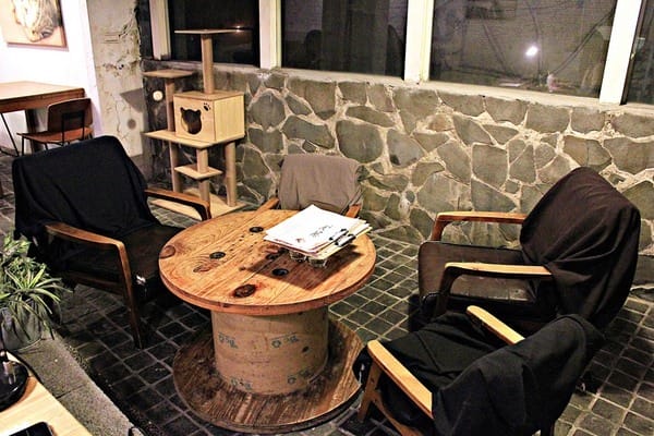 Toast Chat:【Toast Chat】早午餐。貓咪餐廳。捷運國父紀念館站