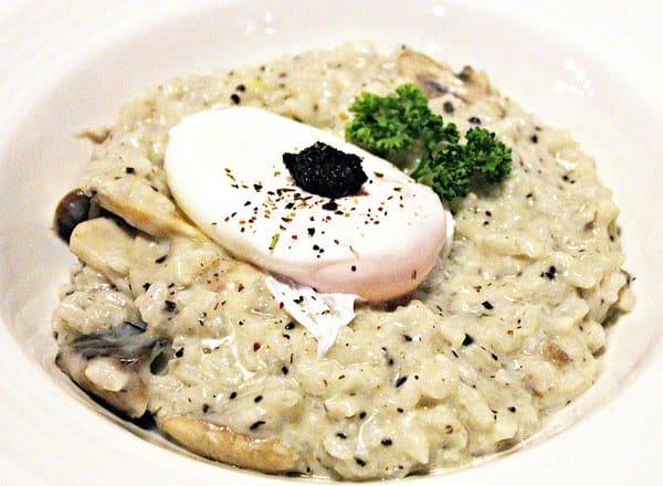 Toast Chat:【Toast Chat】早午餐。貓咪餐廳。捷運國父紀念館站