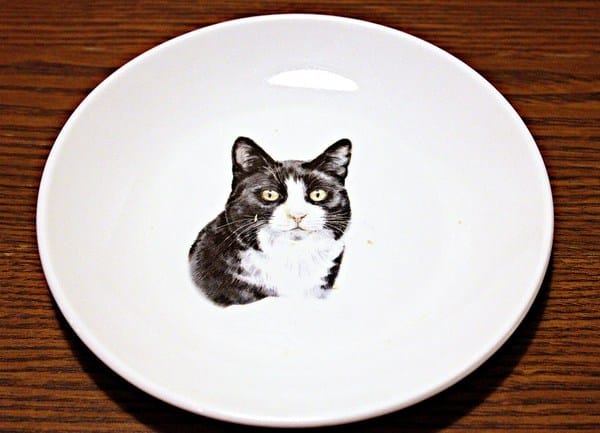 Toast Chat:【Toast Chat】早午餐。貓咪餐廳。捷運國父紀念館站