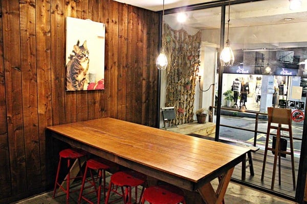 Toast Chat:【Toast Chat】早午餐。貓咪餐廳。捷運國父紀念館站