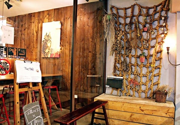 Toast Chat:【Toast Chat】早午餐。貓咪餐廳。捷運國父紀念館站