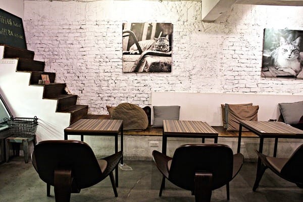 Toast Chat:【Toast Chat】早午餐。貓咪餐廳。捷運國父紀念館站