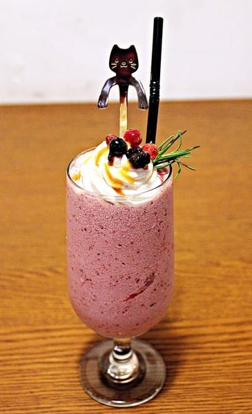 Toast Chat:【Toast Chat】早午餐。貓咪餐廳。捷運國父紀念館站