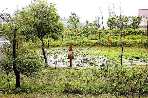 奇麗灣珍奶文化館:【奇麗灣珍奶文化館】宜蘭蘇澳親子旅遊景點推薦。東部旅行雨天備案