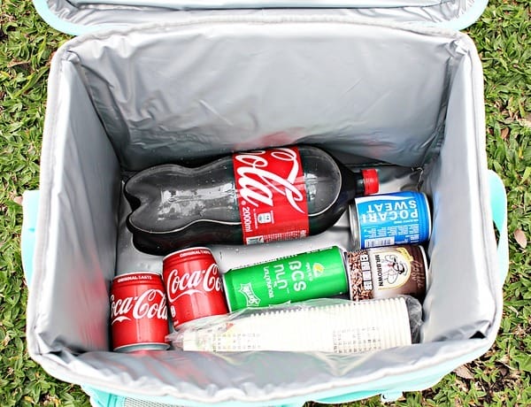 【EG-PLAY一同趣郊遊】野餐露營。秒搭帳篷。保冷袋