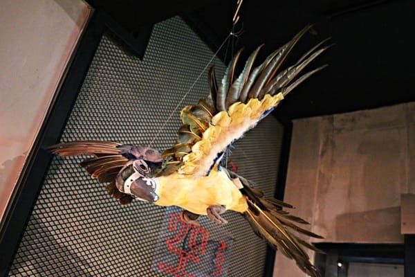 【定格餐酒DinggeBistro】新北永和美食推薦。近捷運永安市場站。美食推薦