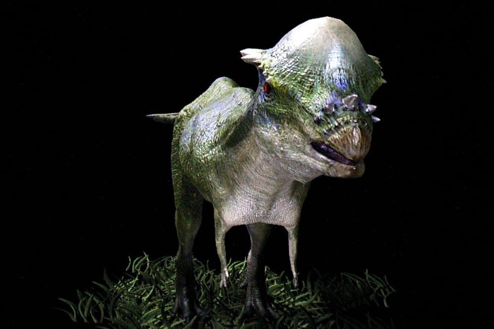 IMG_4380.JPG IMG_4380.JPG