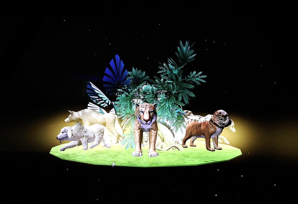 IMG_4379.JPG IMG_4379.JPG