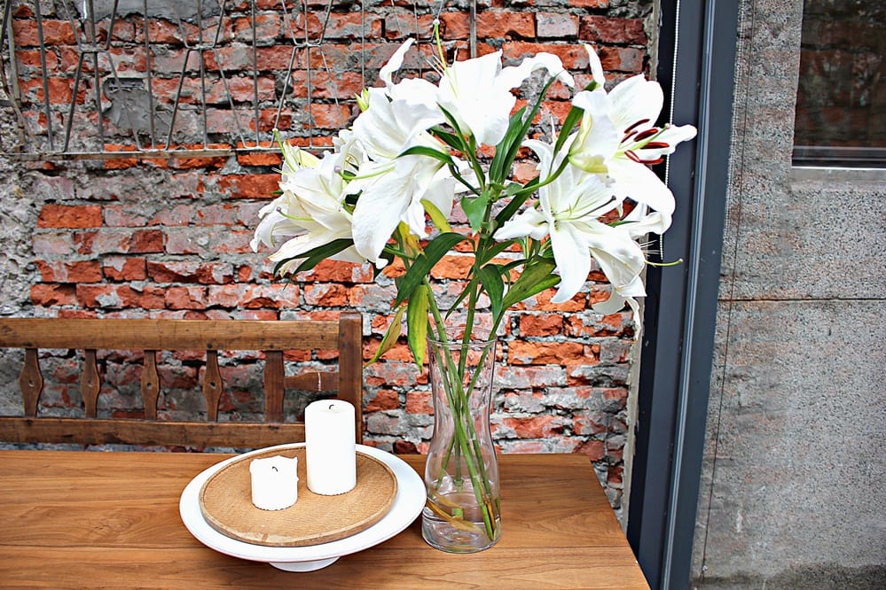 IMG_5624.JPG IMG_5624.JPG