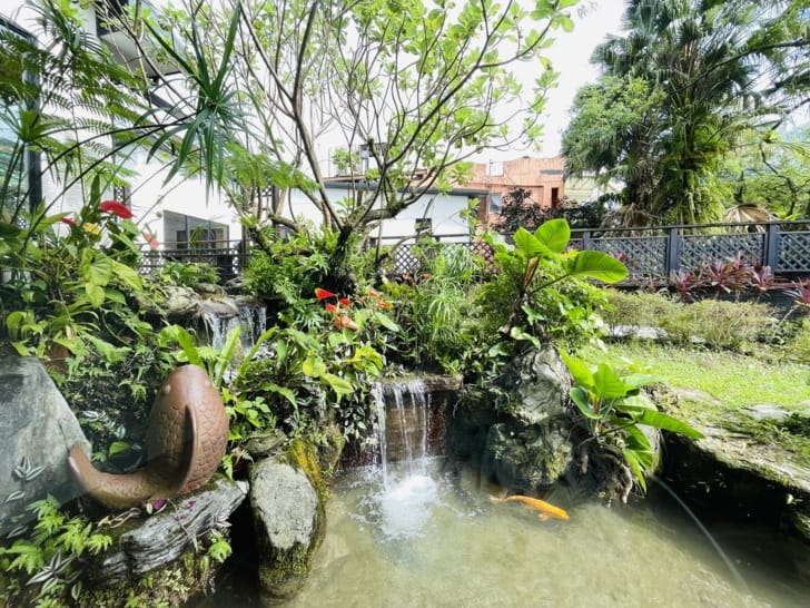 【潭心閣】花蓮鯉魚潭民宿螢火蟲住宿親子友善SUP立槳初體驗竟然在房間可以餵魚?!