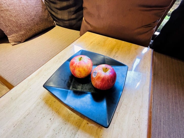 【潭心閣】花蓮鯉魚潭民宿螢火蟲住宿親子友善SUP立槳初體驗竟然在房間可以餵魚?!