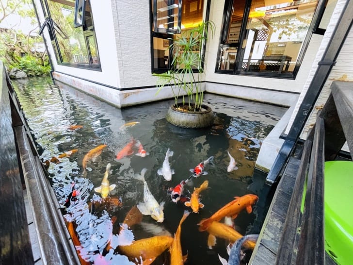 【潭心閣】花蓮鯉魚潭民宿螢火蟲住宿親子友善SUP立槳初體驗竟然在房間可以餵魚?!