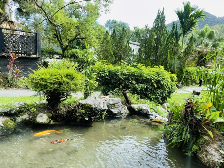 【潭心閣】花蓮鯉魚潭民宿螢火蟲住宿親子友善SUP立槳初體驗竟然在房間可以餵魚?!