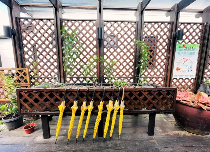 【潭心閣】花蓮鯉魚潭民宿螢火蟲住宿親子友善SUP立槳初體驗竟然在房間可以餵魚?!