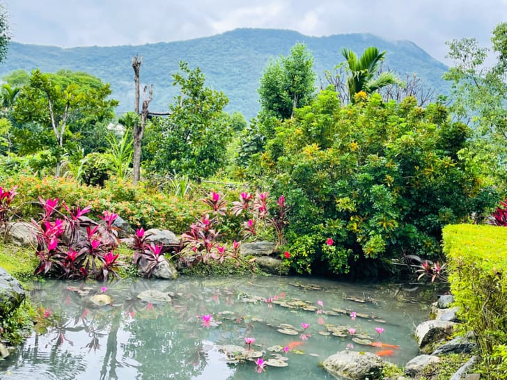 【金澤居】花蓮吉安親子住宿綠色隧道民宿花蓮放鬆行程下雨天的花蓮怎麼玩?