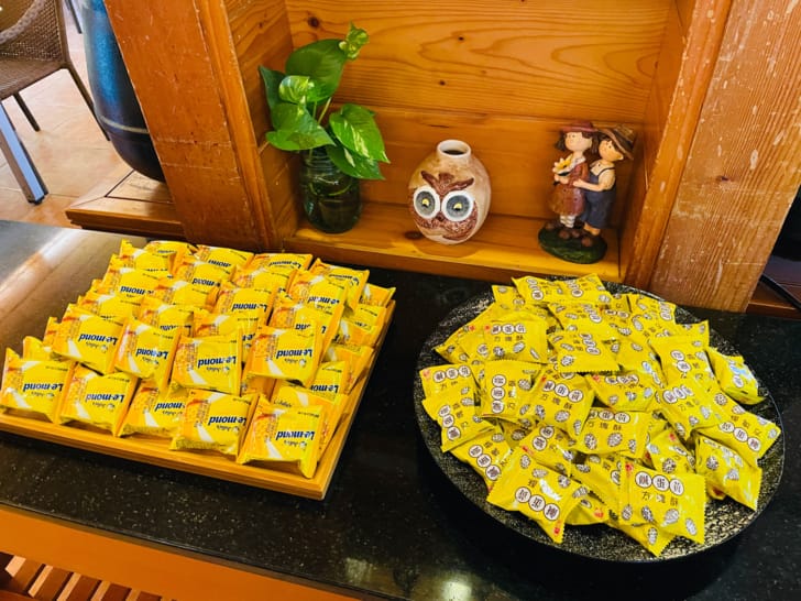 【金澤居】花蓮吉安親子住宿綠色隧道民宿花蓮放鬆行程下雨天的花蓮怎麼玩?