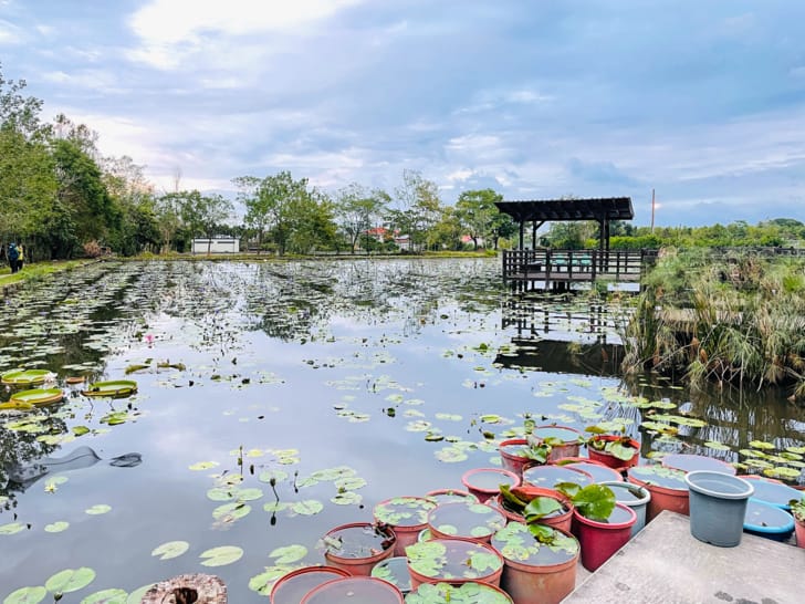 【金澤居】花蓮吉安親子住宿綠色隧道民宿花蓮放鬆行程下雨天的花蓮怎麼玩?